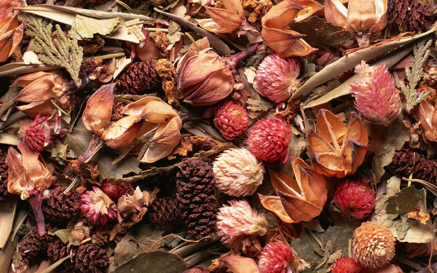 1680 fleurs vertes feuilles fond d'écran (6) #2 - 1440x900