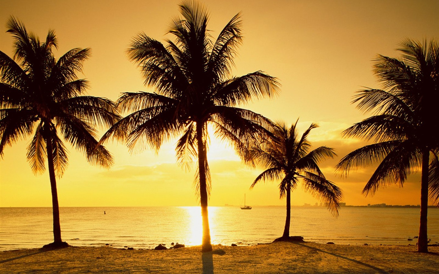 Palm tree sunset wallpaper (1) #9 - 1440x900