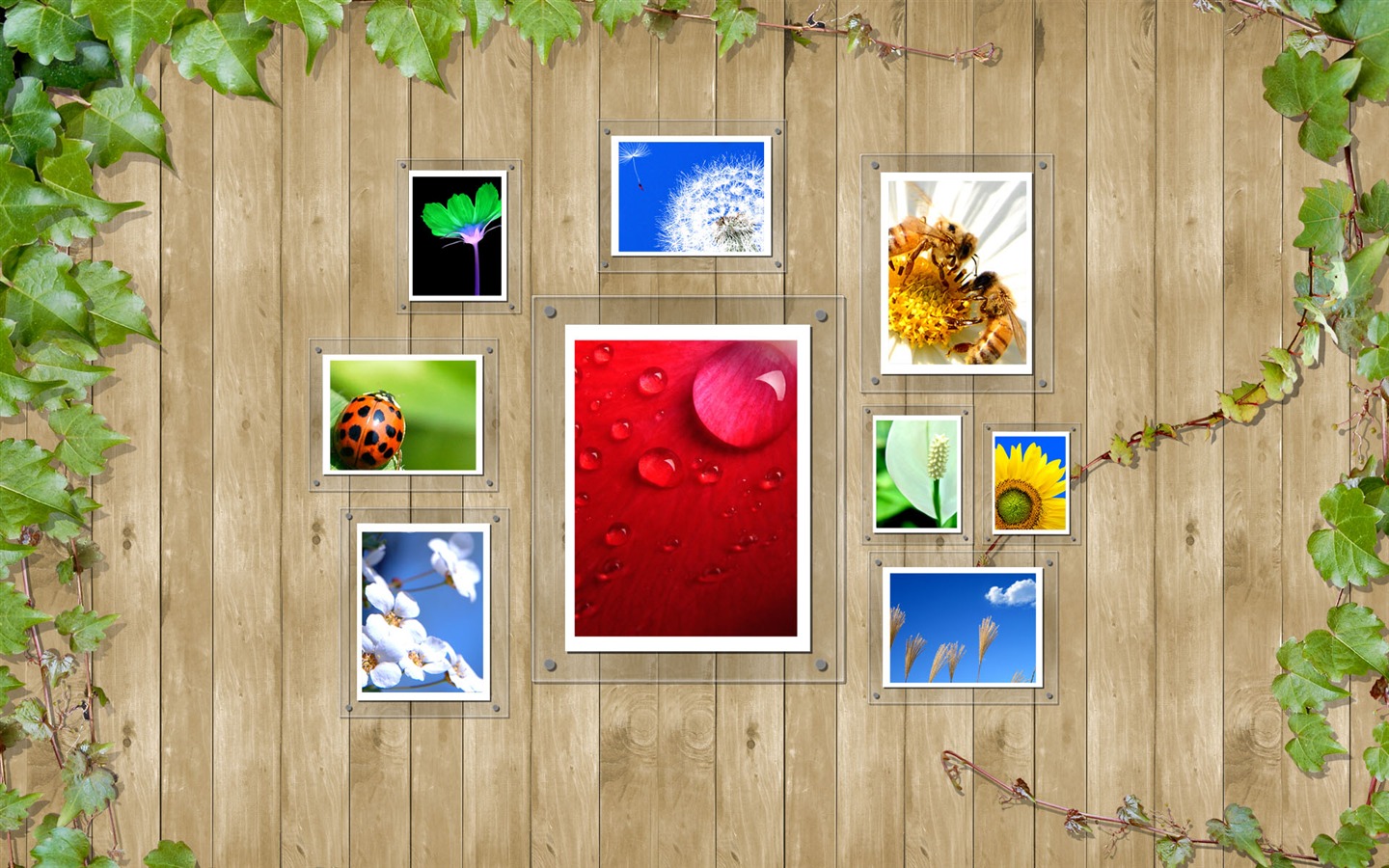 Synthesis of Fun Desktop Wallpaper (1) #20 - 1440x900