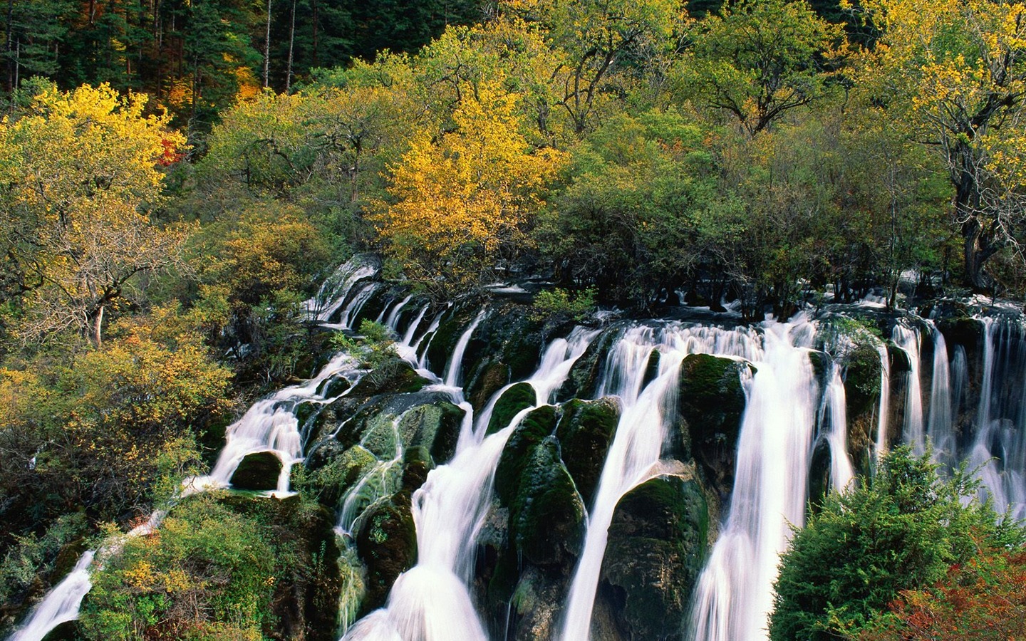 Cascada arroyos fondo de pantalla (5) #3 - 1440x900