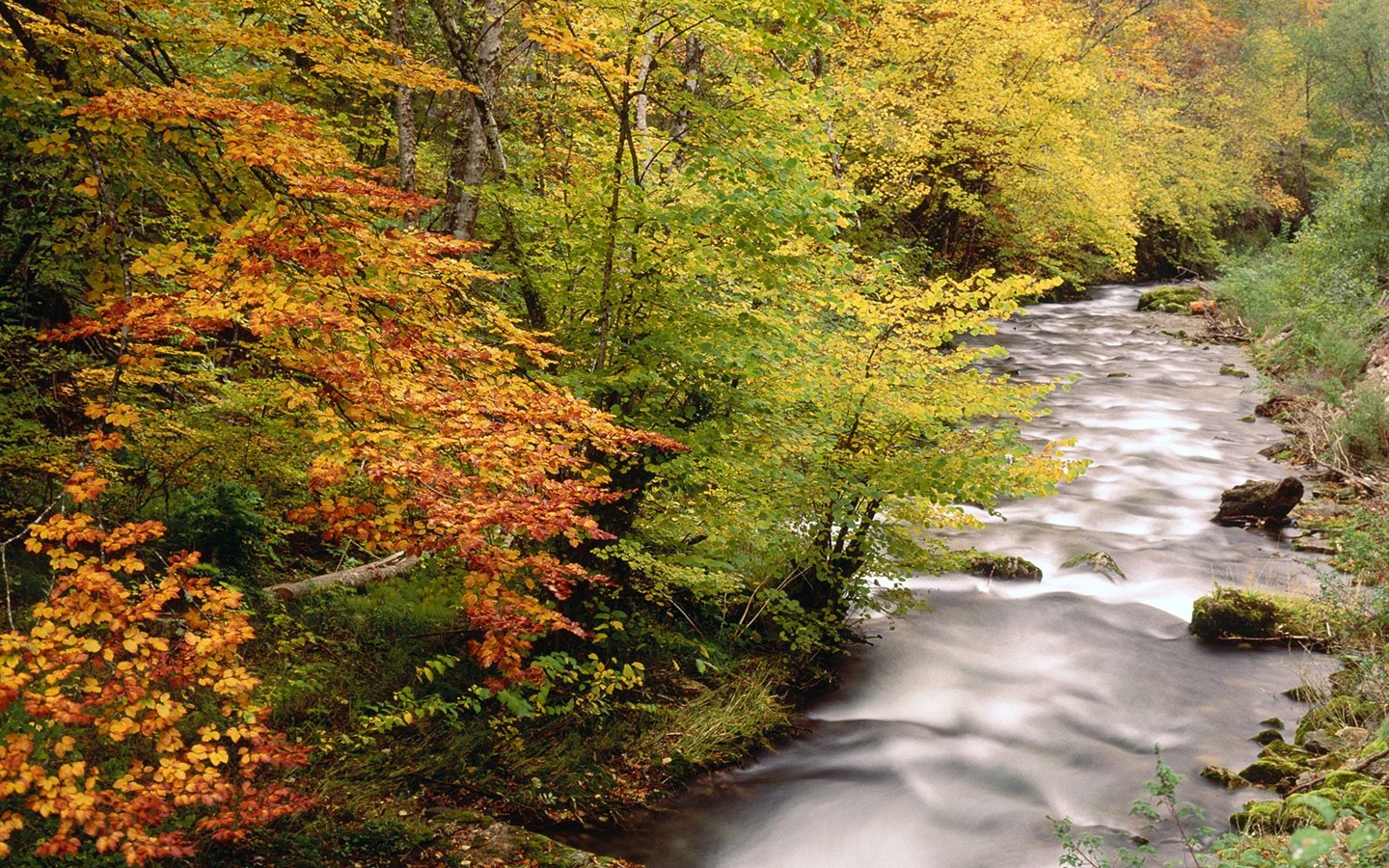 Waterfall streams wallpaper (5) #14 - 1440x900