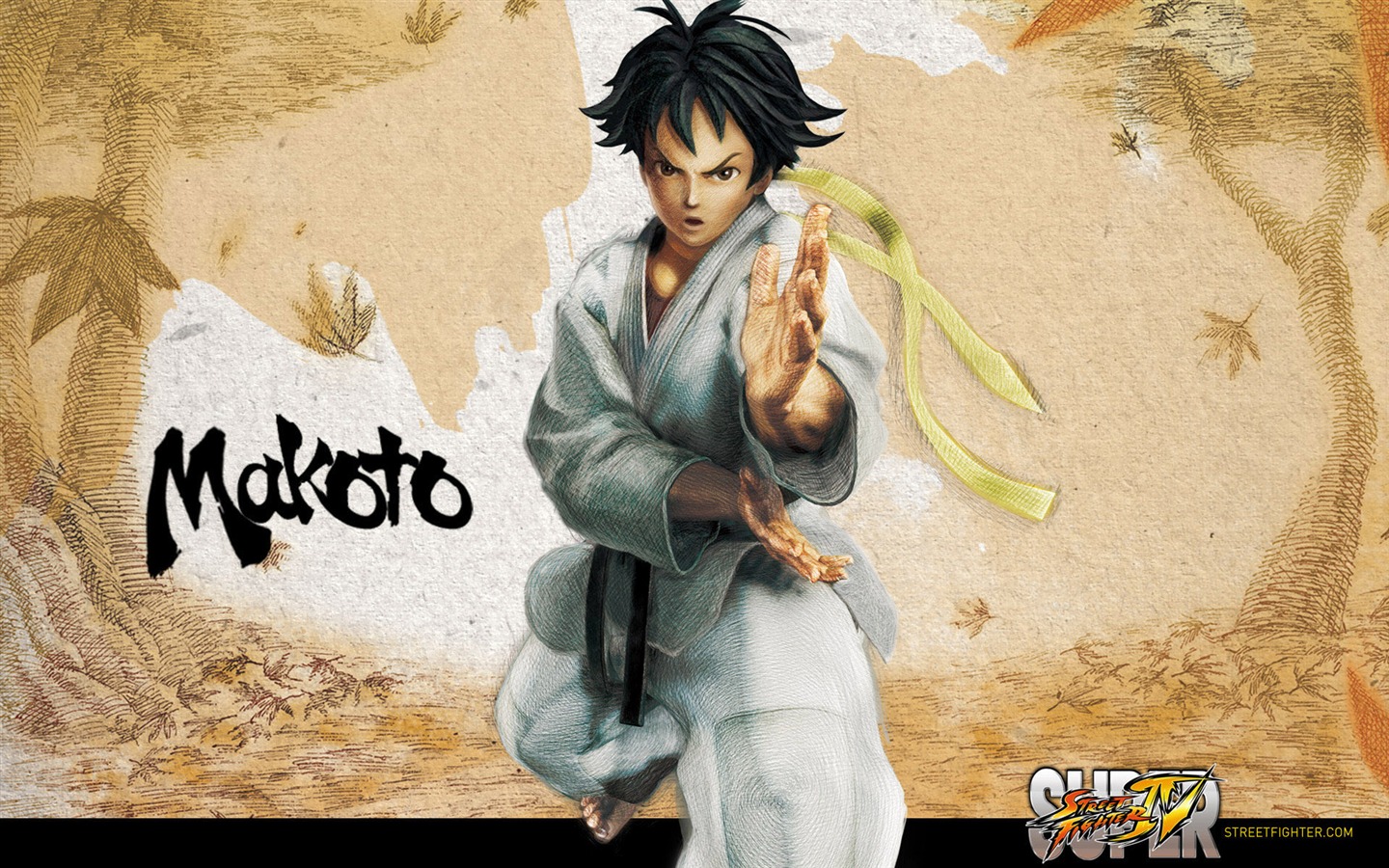 Super Street Fighter 4 HD Wallpapers #17 - 1440x900