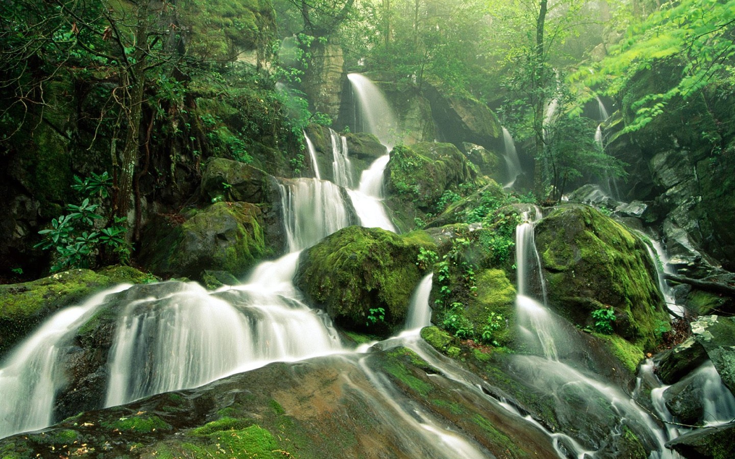 Cascada arroyos fondo de pantalla (6) #6 - 1440x900