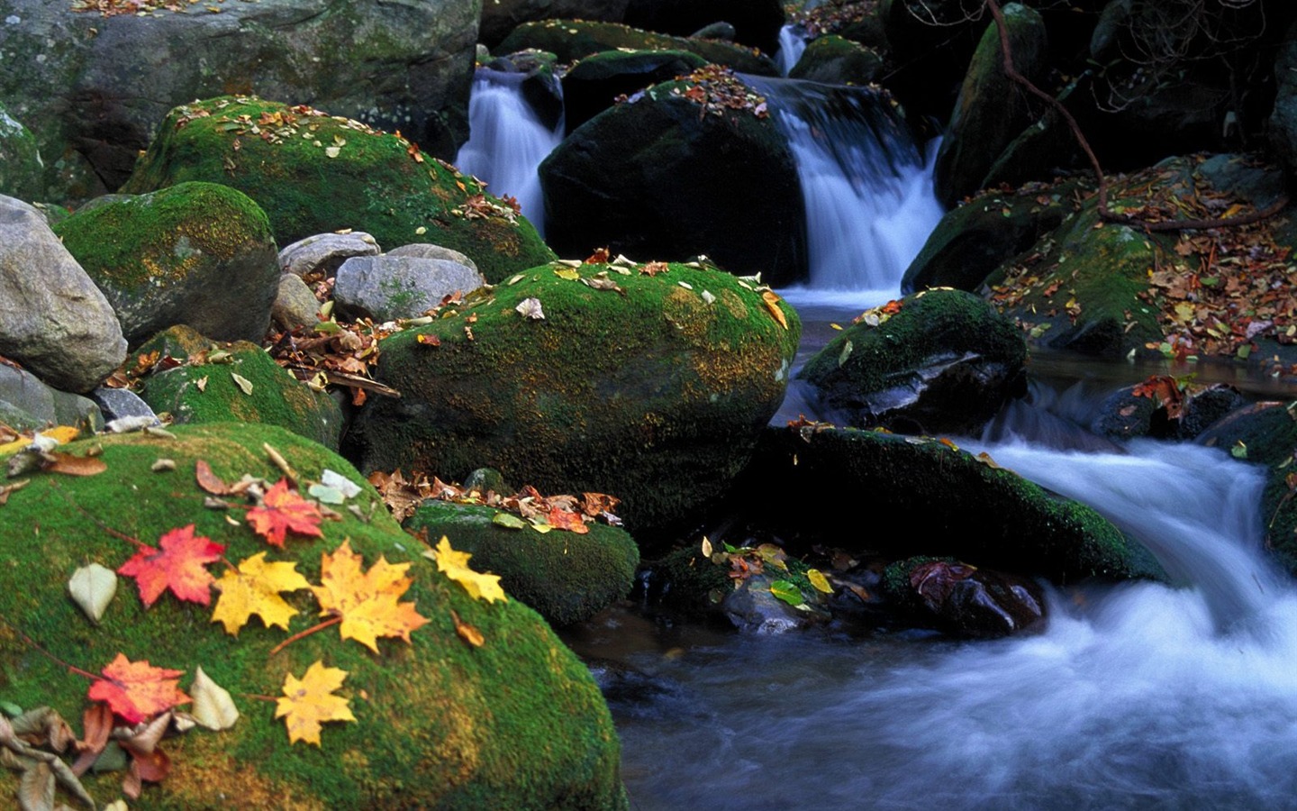 Cascada arroyos fondo de pantalla (6) #19 - 1440x900