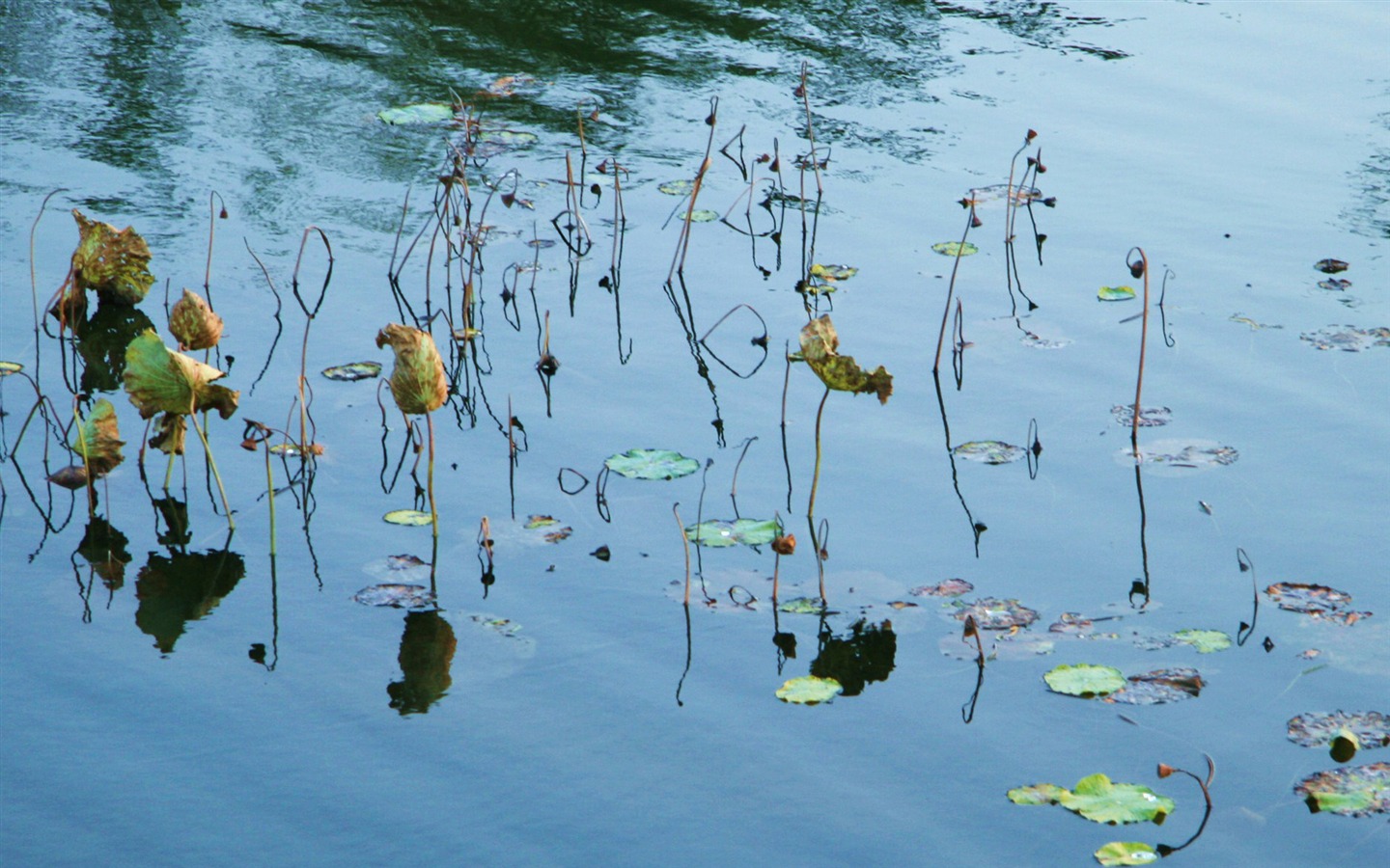 Landscape photography (4) (Li Shanquan works) #18 - 1440x900