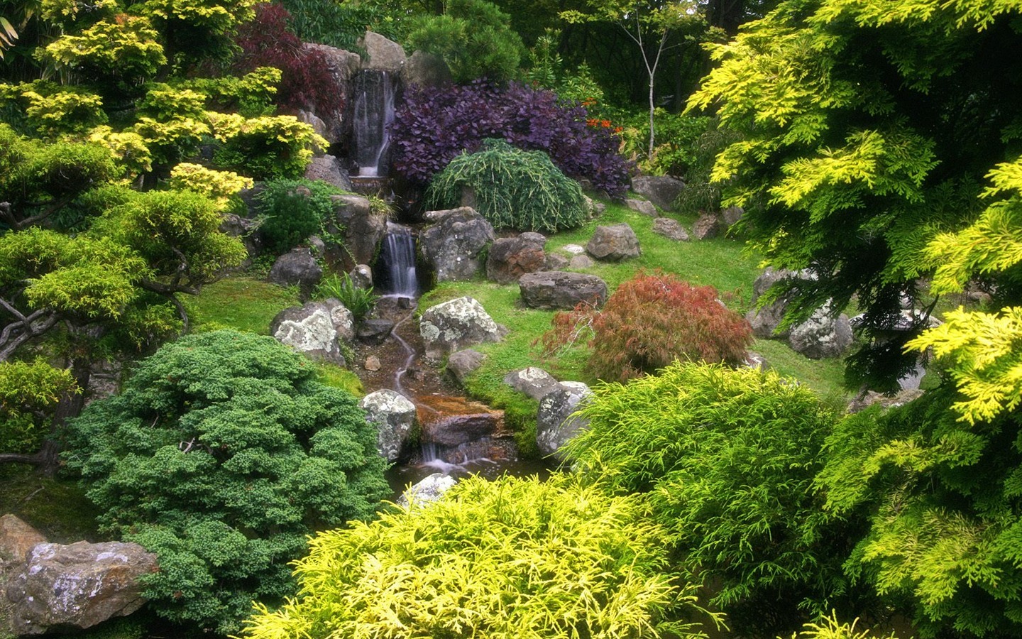 樹木植物 壁紙(八) #3 - 1440x900
