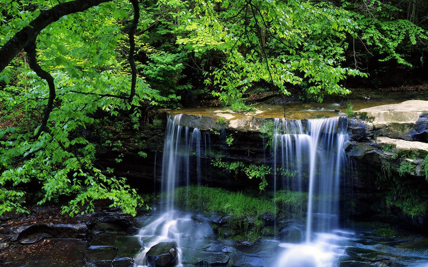 Waterfall streams wallpaper (7) #18 - 1440x900