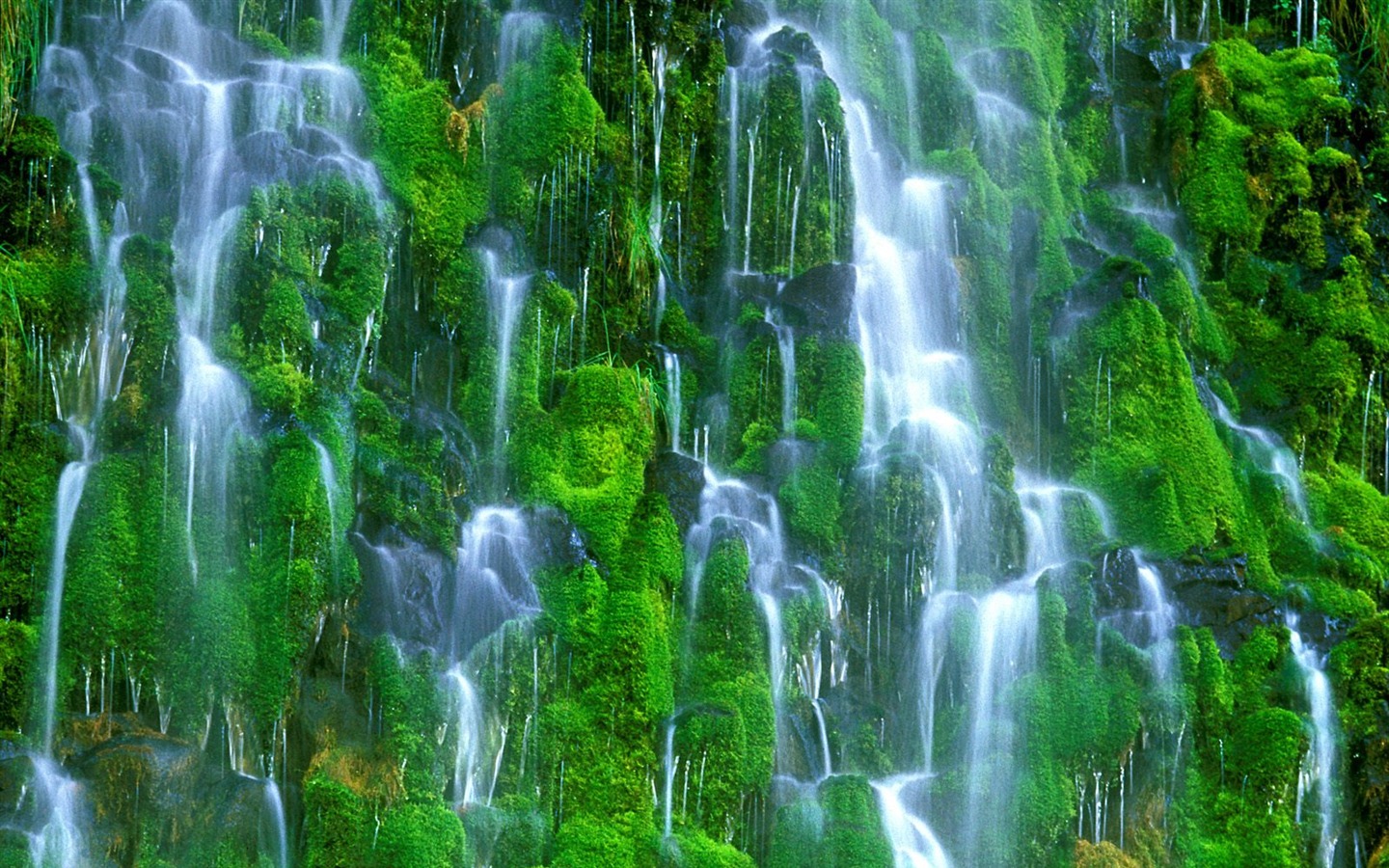 Waterfall streams wallpaper (7) #20 - 1440x900