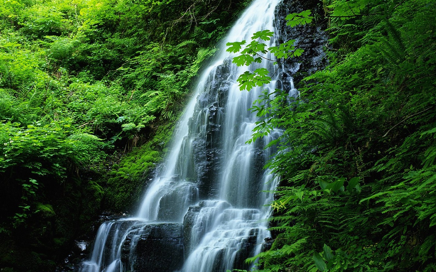 Cascada arroyos fondo de pantalla (9) #11 - 1440x900