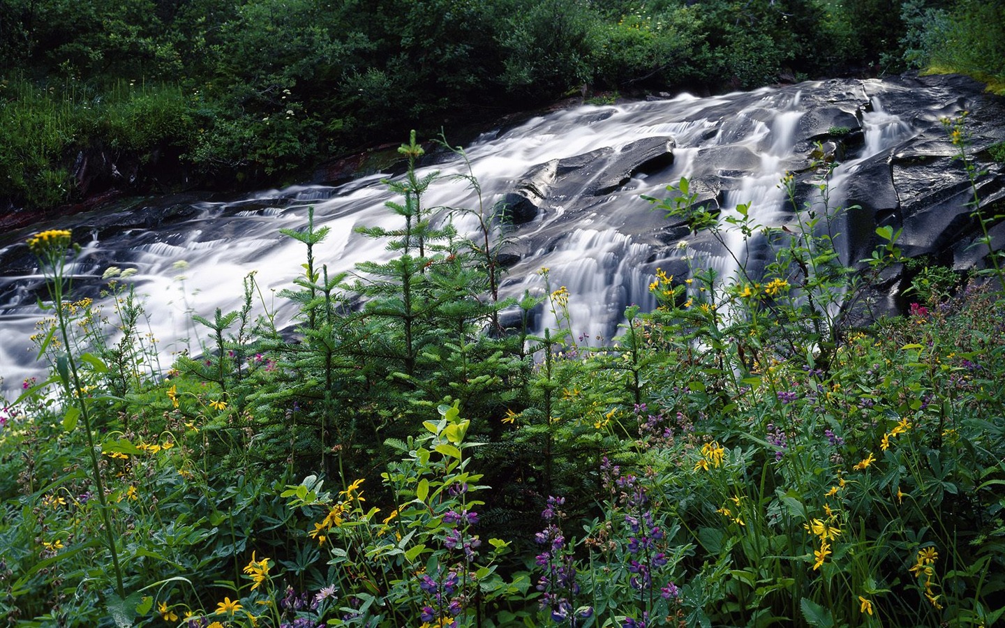 Waterfall streams wallpaper (9) #13 - 1440x900
