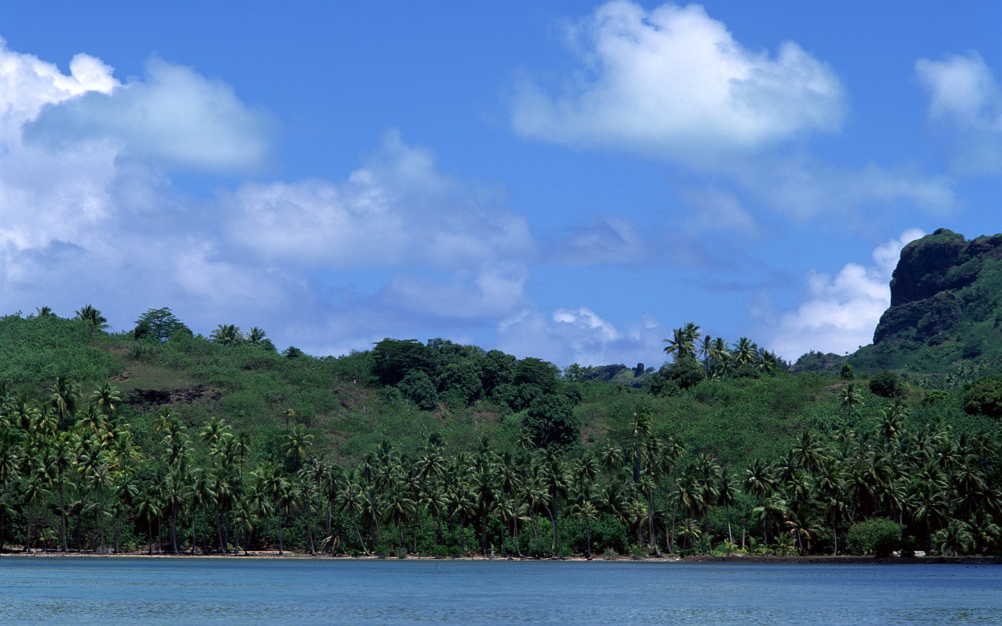 Fonds d'écran paysage de plage (3) #19 - 1440x900