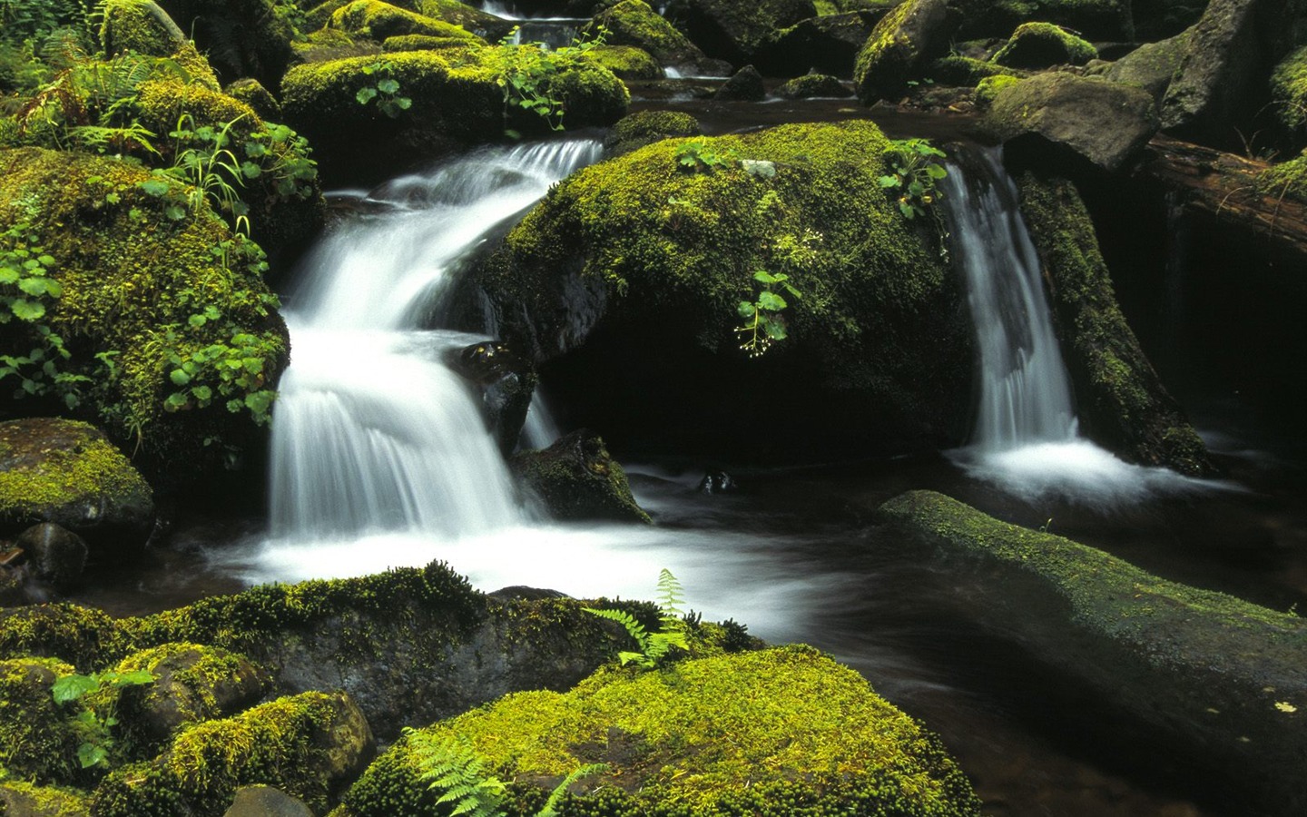 Waterfall streams wallpaper (10) #18 - 1440x900