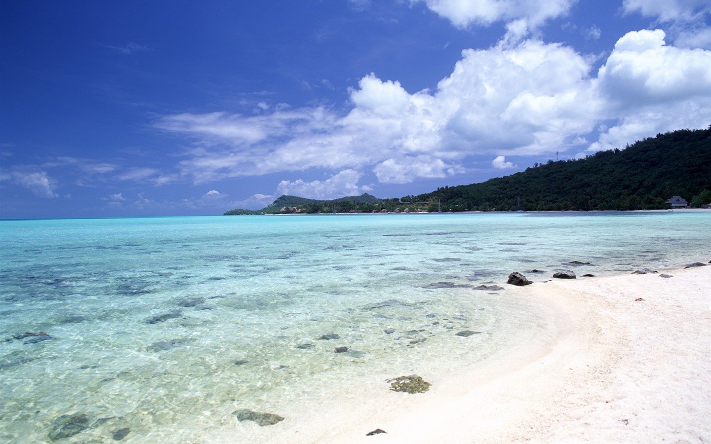 Fonds d'écran paysage de plage (4) #1 - 1440x900