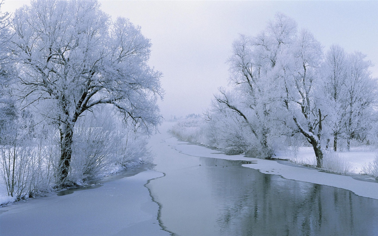 Fond d'écran panoramique de neige (1) #5 - 1440x900