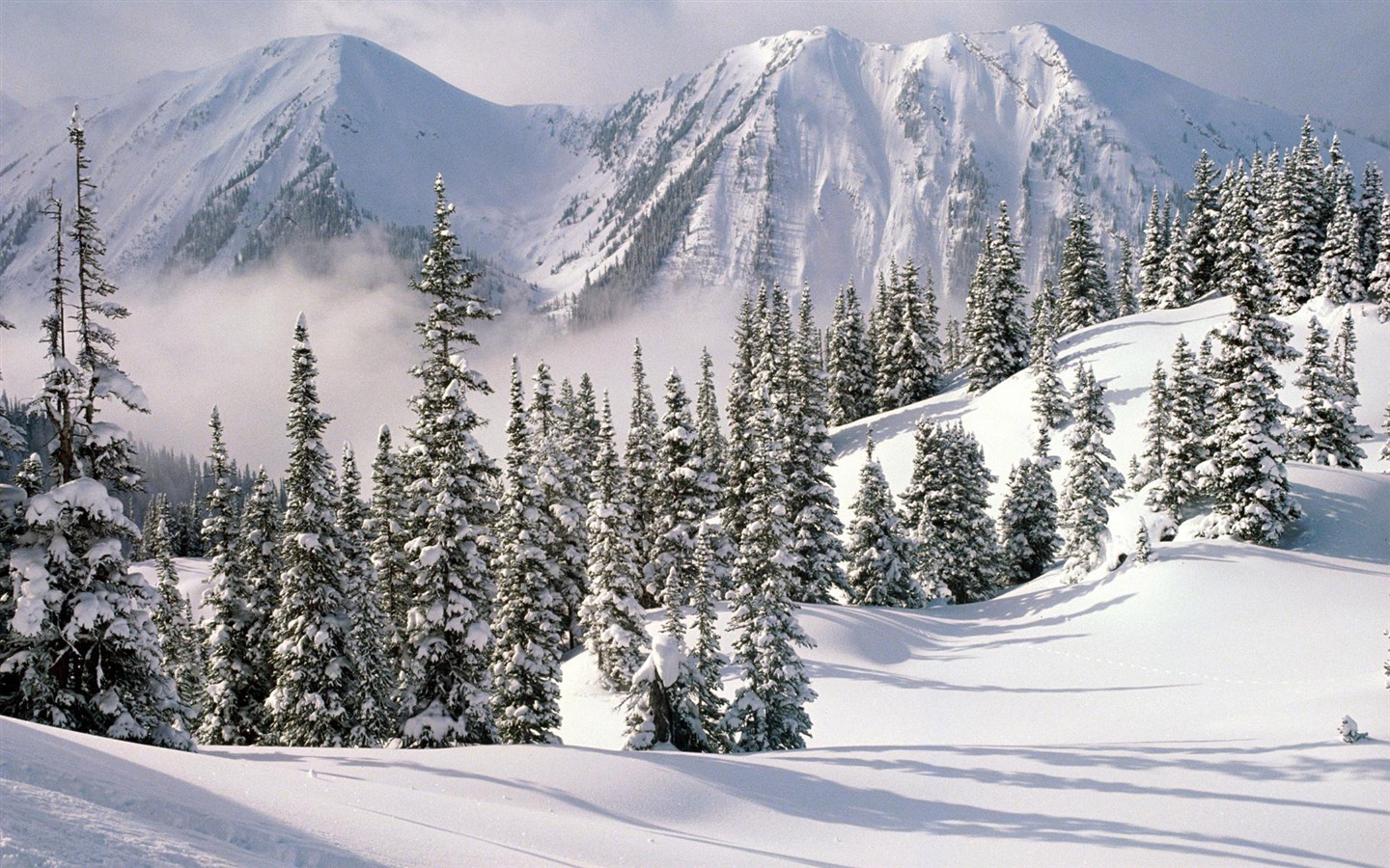 Fond d'écran panoramique de neige (1) #19 - 1440x900