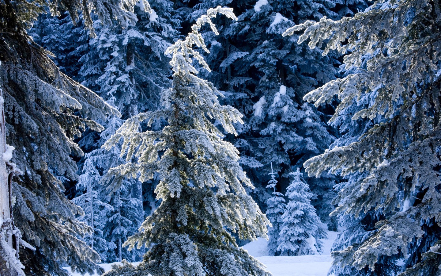 Fond d'écran panoramique de neige (2) #16 - 1440x900