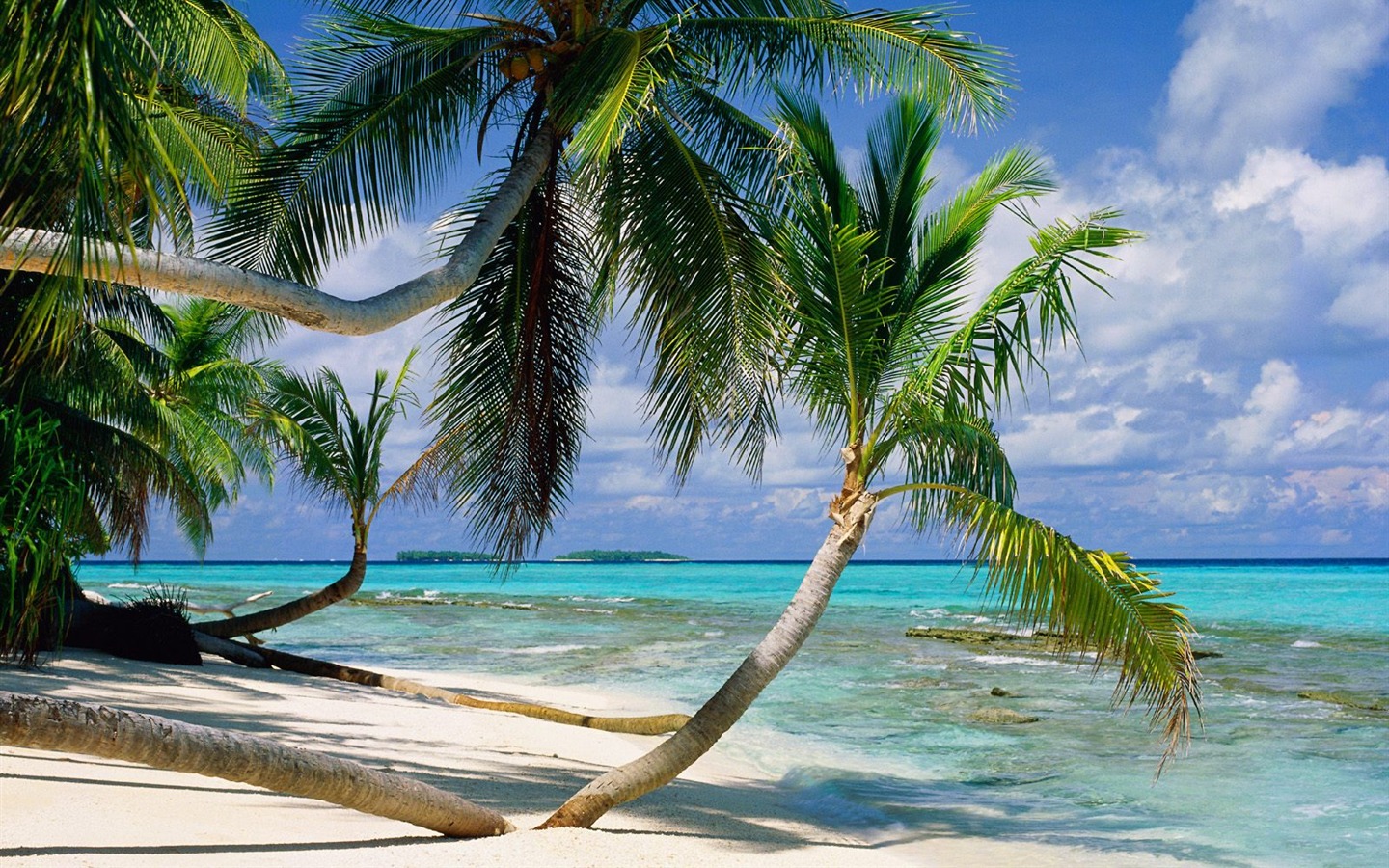 Beach Landschaft Wallpaper (7) #10 - 1440x900