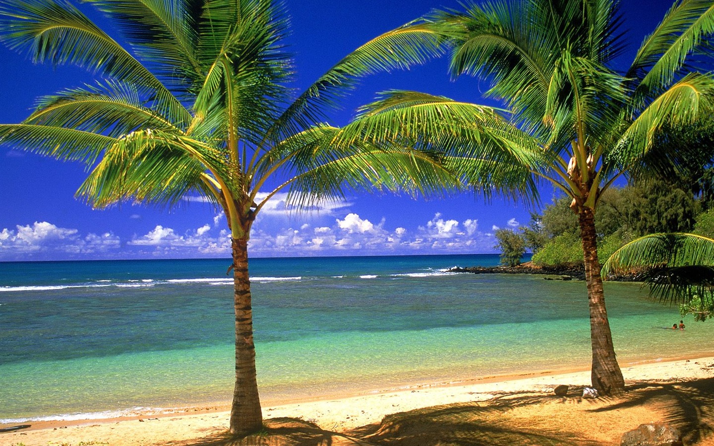 Beach Landschaft Wallpaper (7) #12 - 1440x900