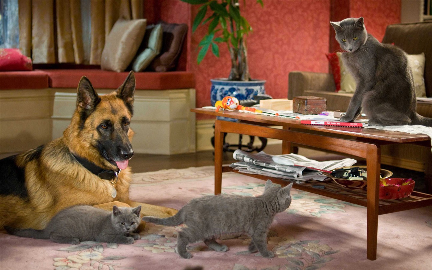 Gatos y perros: La Venganza de Kitty Galore fondos de escritorio de alta definición #19 - 1440x900