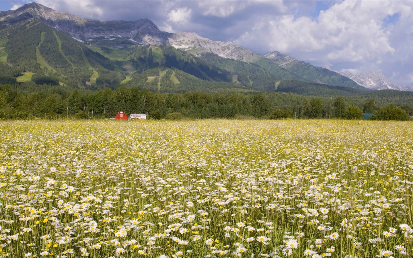 Tapety Krajina Kolekce (18) #3 - 1440x900