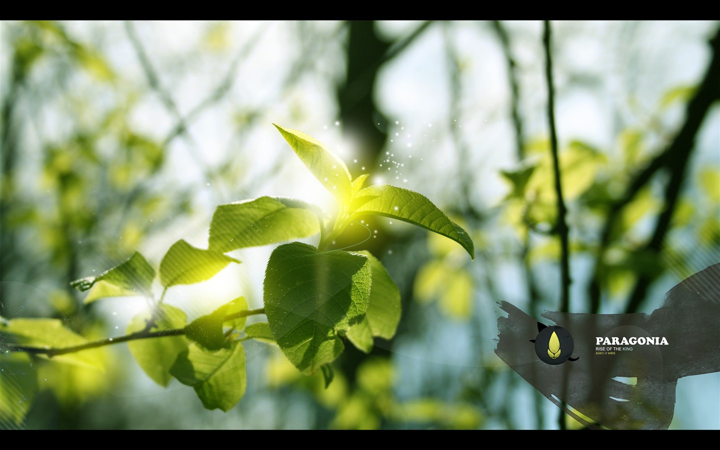 Large green leaves close-up flower wallpaper (1) #17 - 1440x900