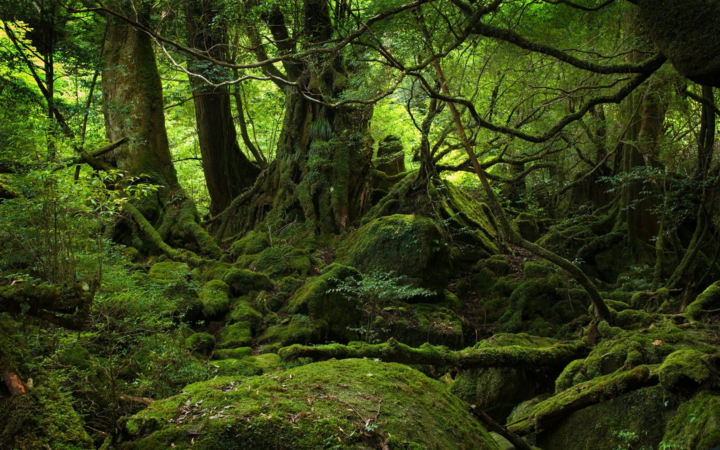超大風光合集 壁紙(三) #13 - 1440x900