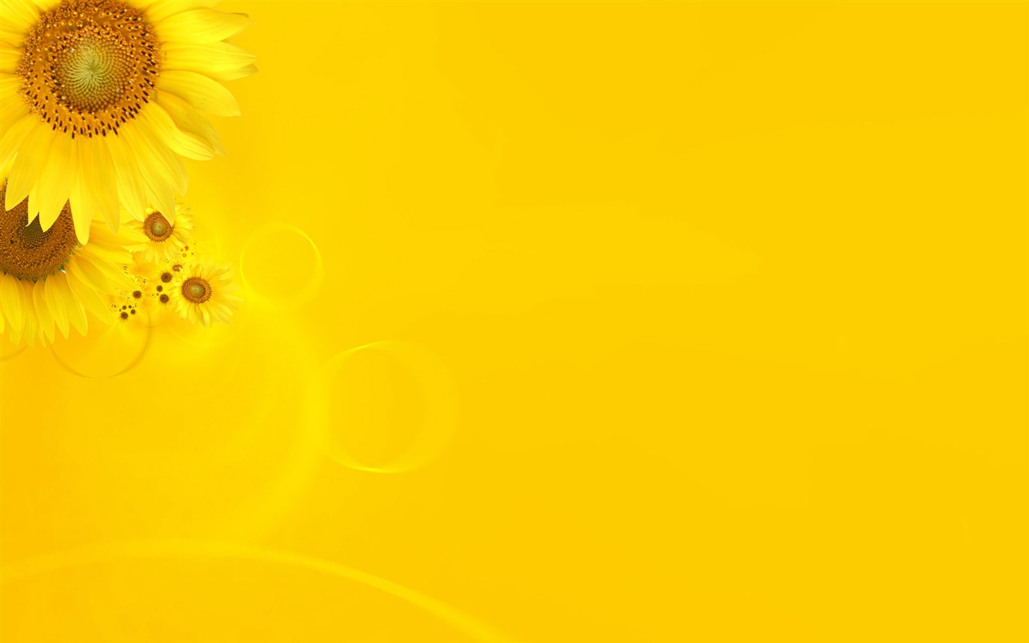 Beautiful sunflower close-up wallpaper (2) #2 - 1440x900