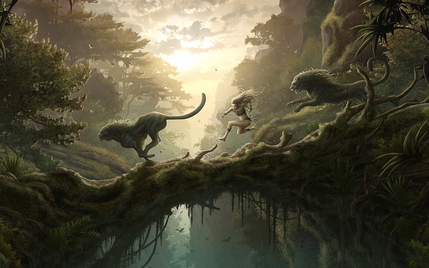 Kerem Beyit funguje HD tapetu #9 - 1440x900