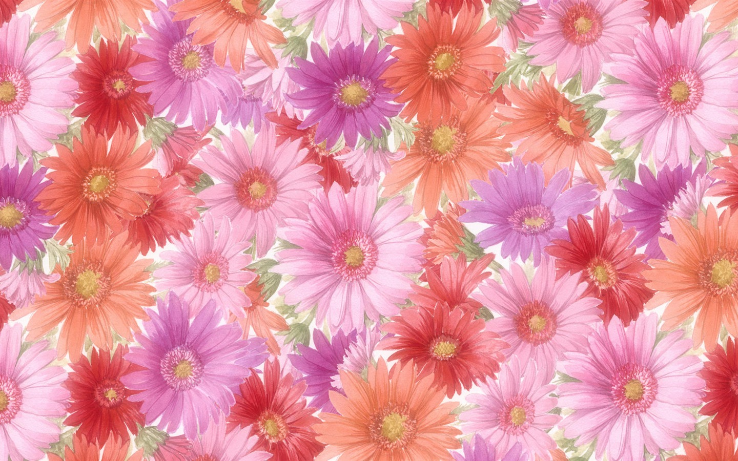와이드 스크린 벽지의 꽃 가까이에서 (13)까지 #7 - 1440x900