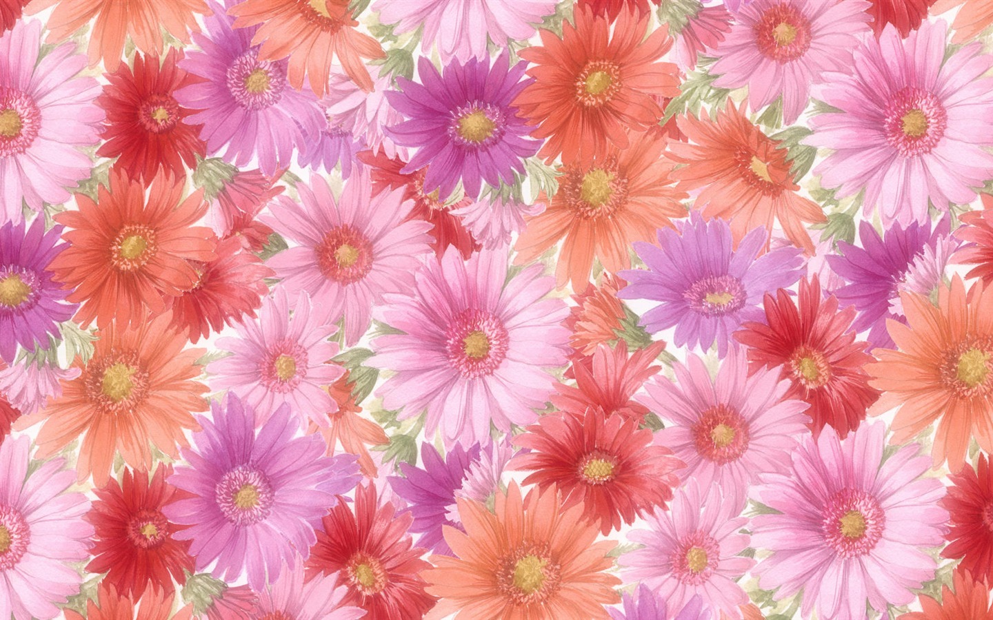 寬屏鮮花特寫 壁紙(13) #7 - 1440x900