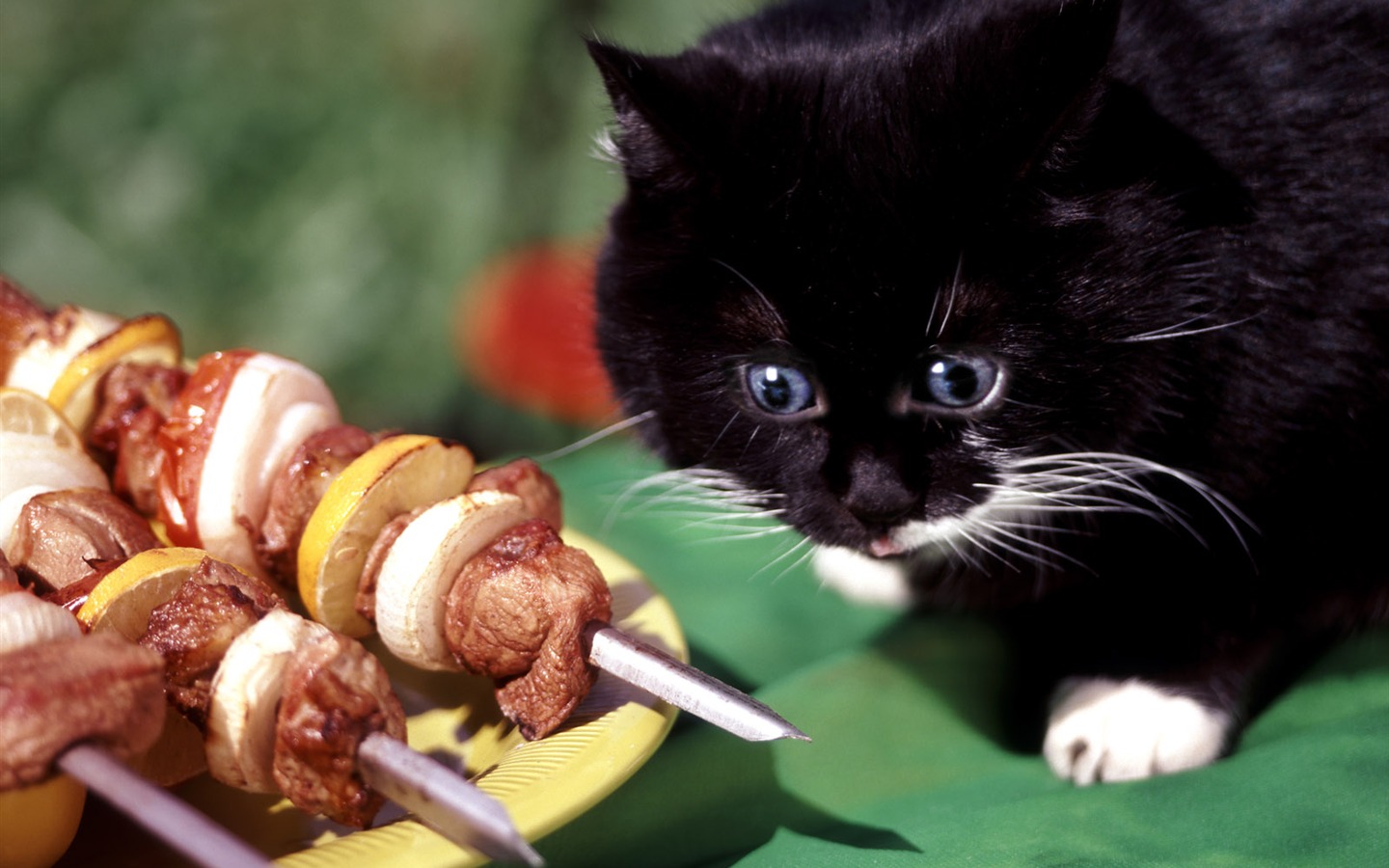 Delicious barbecue tapety (4) #17 - 1440x900