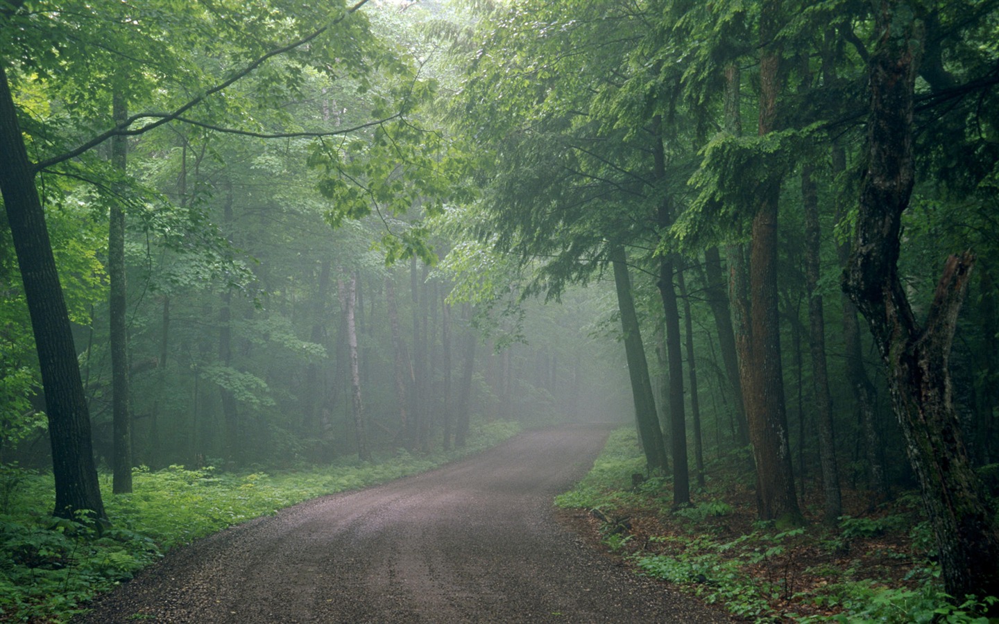 Tapety Krajina Kolekce (27) #19 - 1440x900