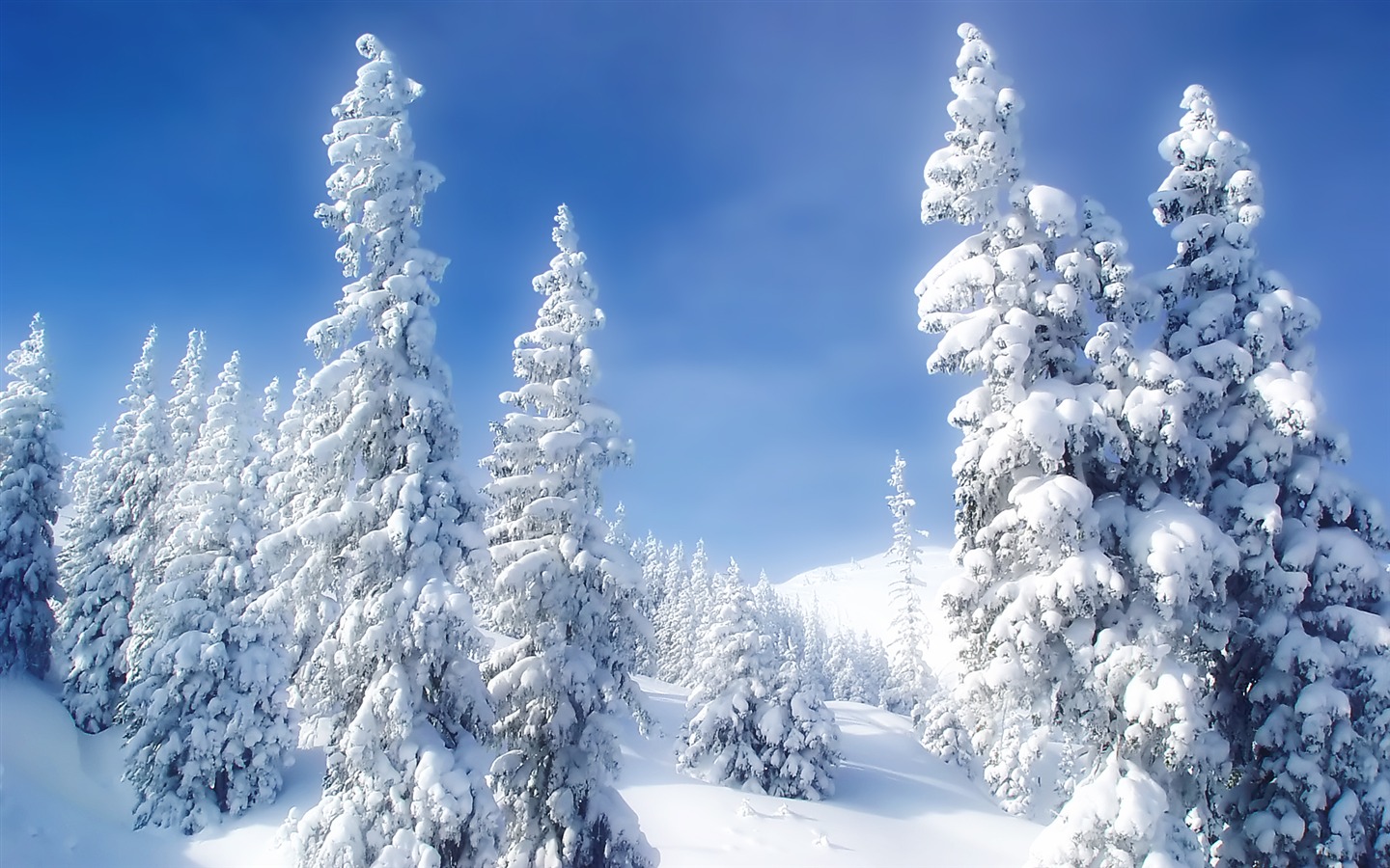 Scenery Collection Wallpapers (30) #19 - 1440x900