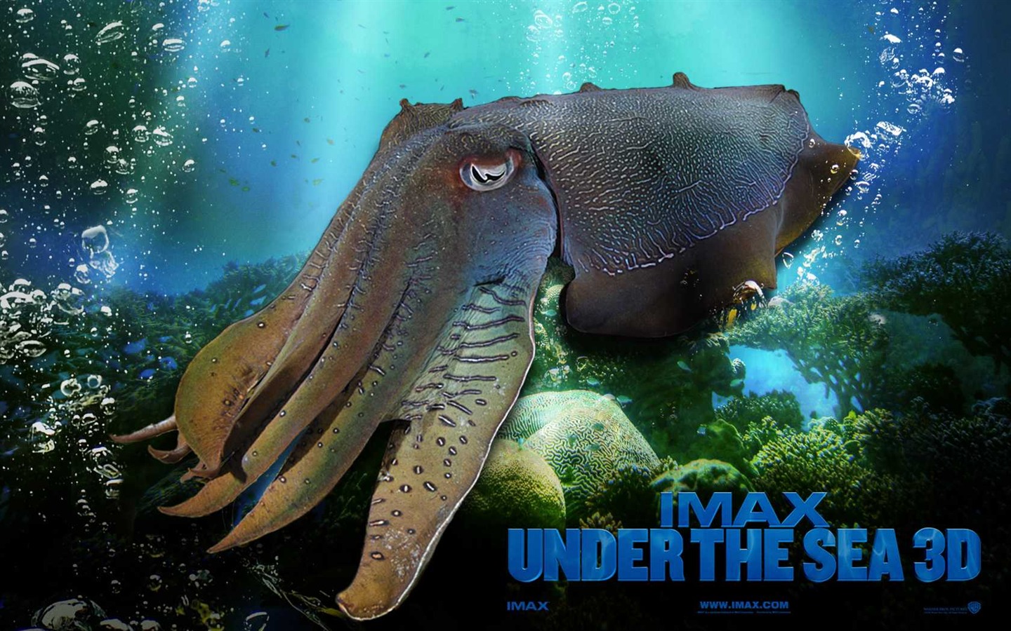 Under the Sea 3D 海底世界3D 高清壁紙 #47 - 1440x900