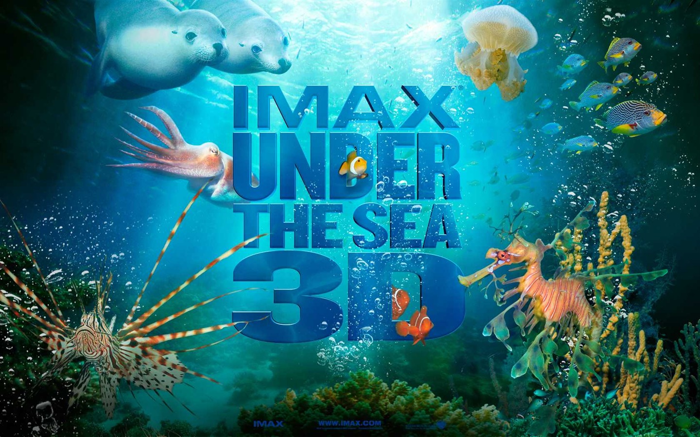 Under the Sea 3D 海底世界3D 高清壁纸48 - 1440x900