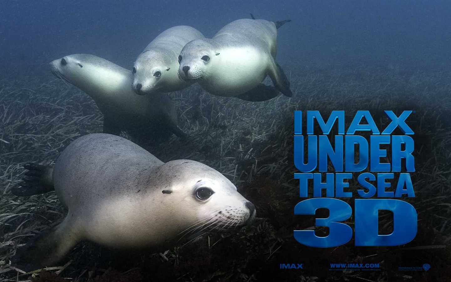 Under the Sea 3D 海底世界3D 高清壁紙 #51 - 1440x900