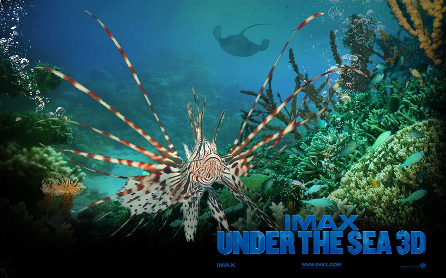 Under the Sea 3D 海底世界3D 高清壁紙 #1 - 1440x900
