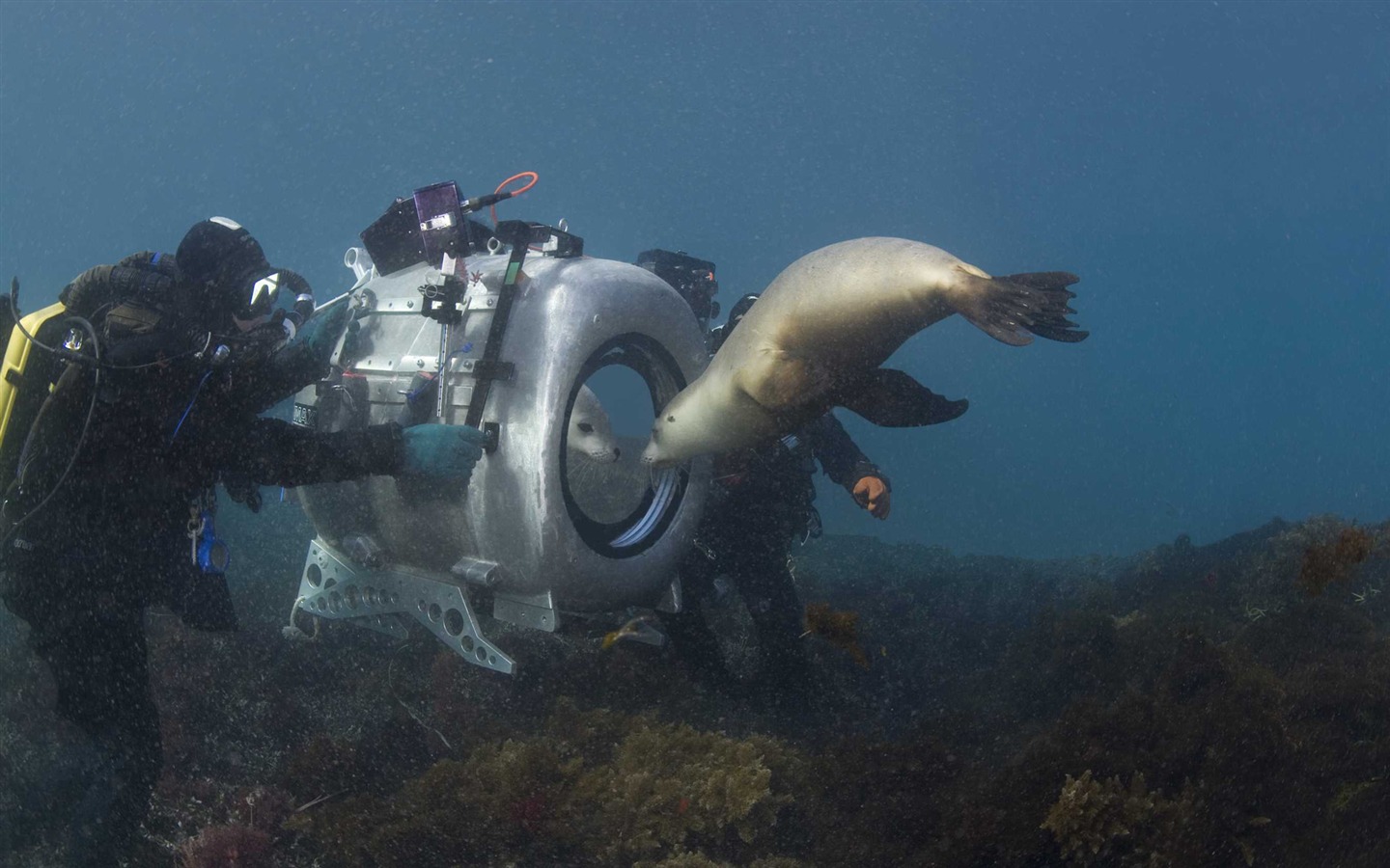 Under the Sea 3D 海底世界3D 高清壁紙 #3 - 1440x900