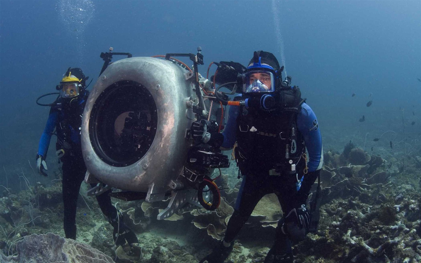 Under the Sea 3D 海底世界3D 高清壁紙 #5 - 1440x900
