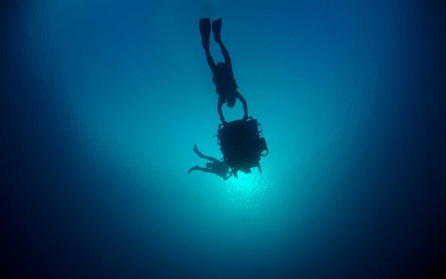 Under the Sea 3D 海底世界3D 高清壁紙 #39 - 1440x900