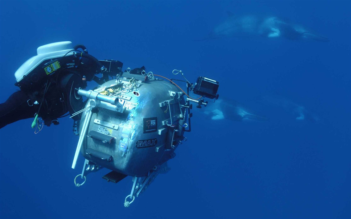 Under the Sea 3D 海底世界3D 高清壁紙 #42 - 1440x900
