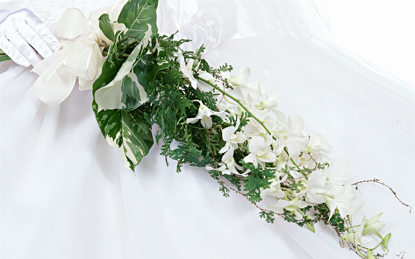 Svatby a květiny tapety (2) #3 - 1440x900