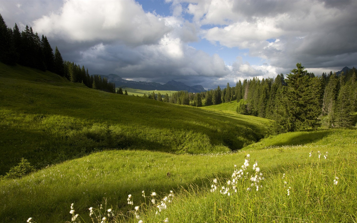 Tapety Krajina Kolekce (48) #19 - 1440x900