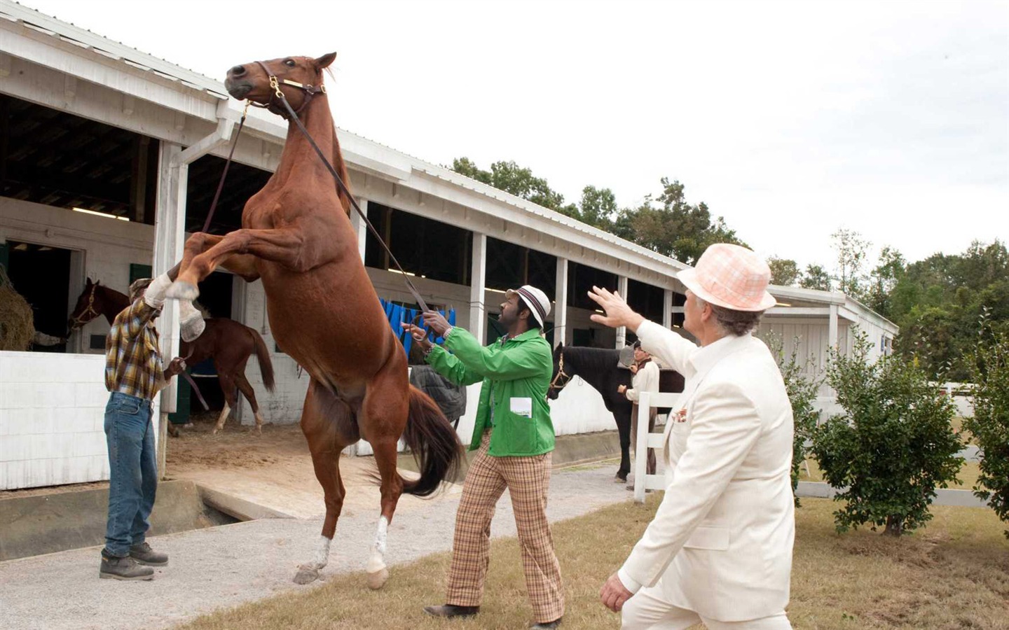 Secretariat 一代驕馬 高清壁紙(二) #27 - 1440x900