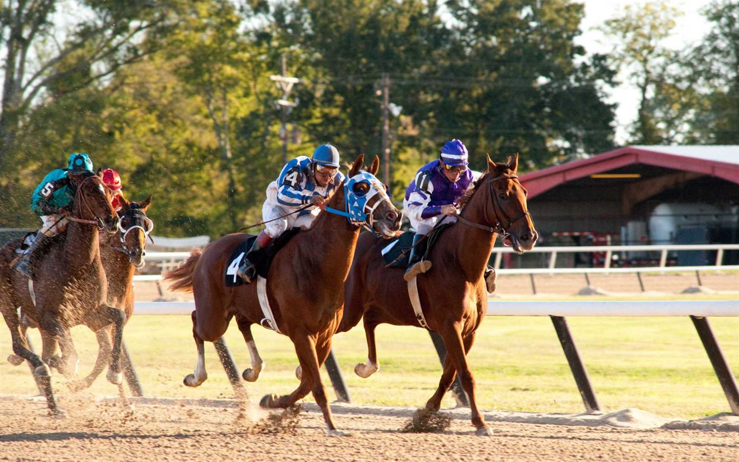 Secretariat 一代驕馬 高清壁紙(二) #28 - 1440x900