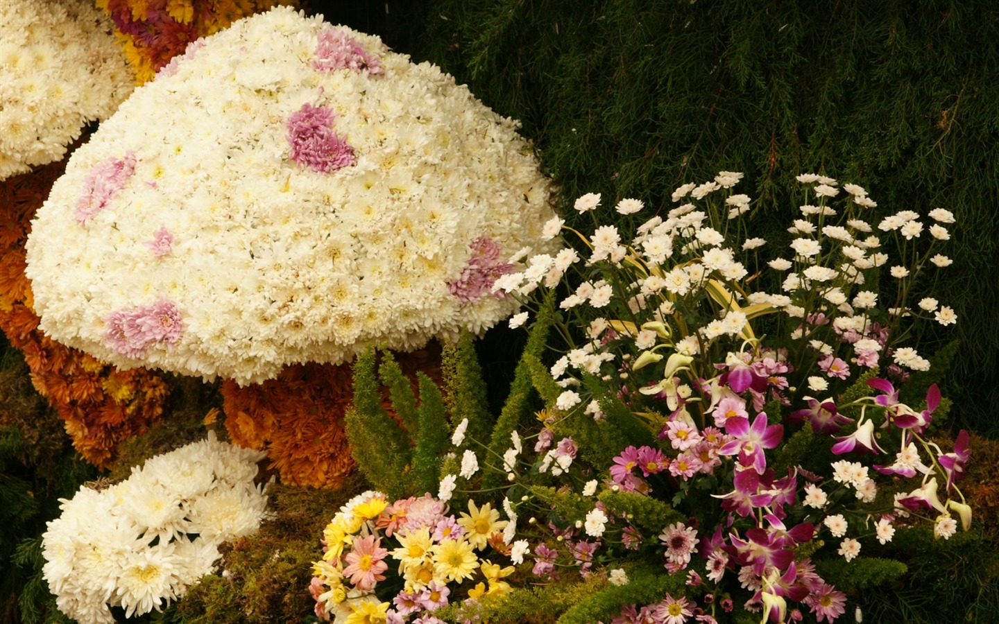 fleurs colorées décorent fond d'écran (1) #5 - 1440x900