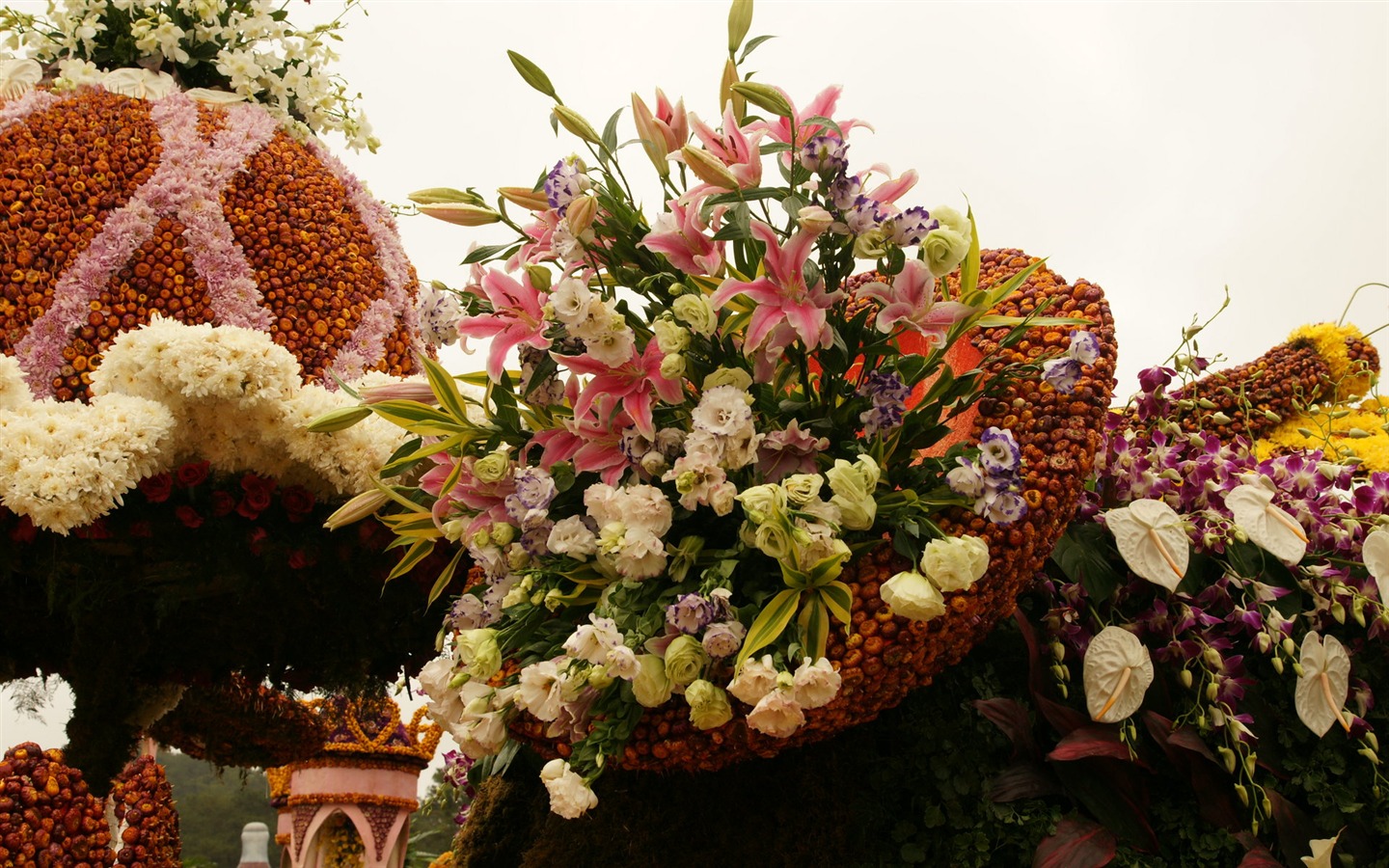七彩花朵裝飾 壁紙(一) #18 - 1440x900