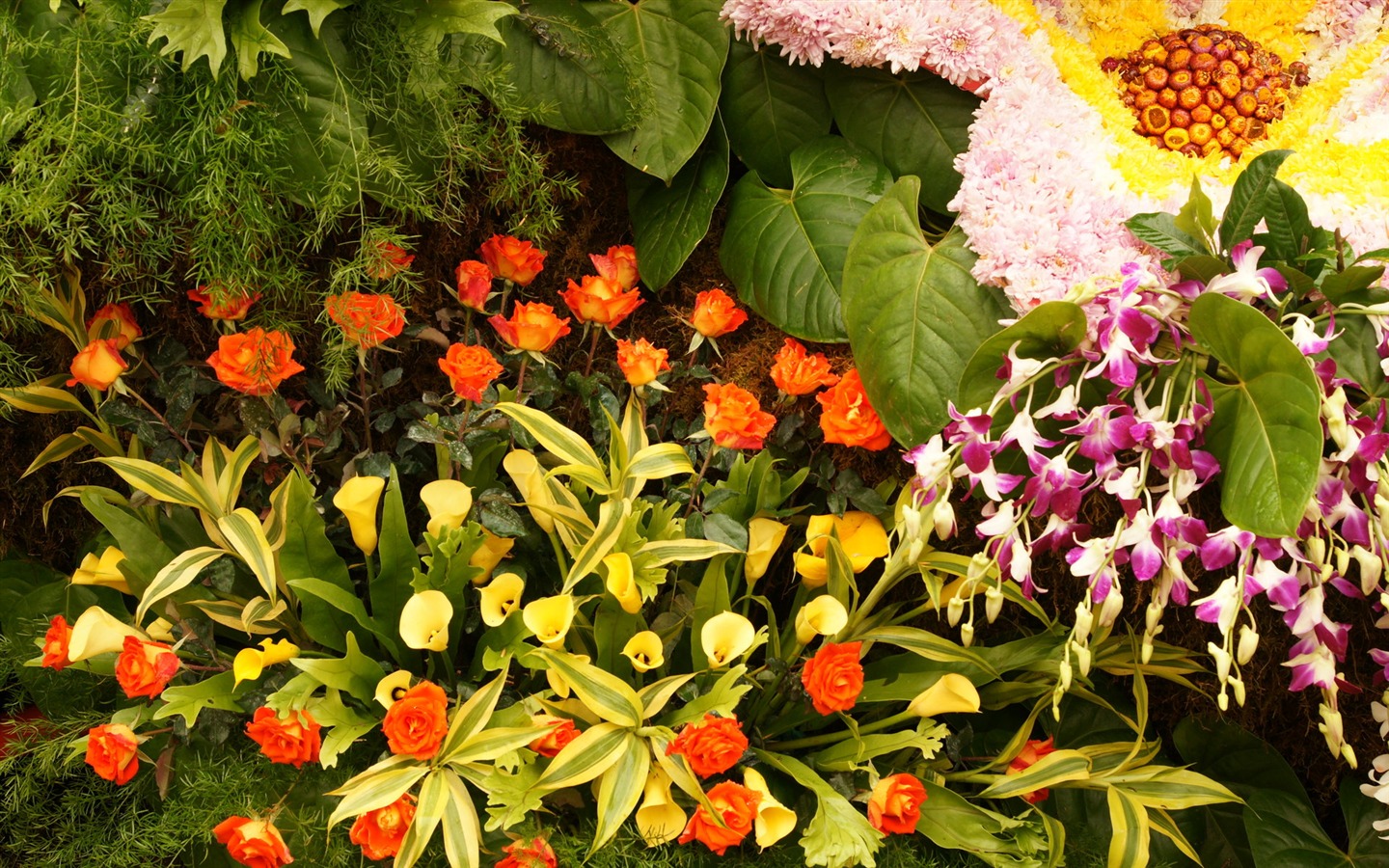 fleurs colorées décorent fond d'écran (2) #6 - 1440x900