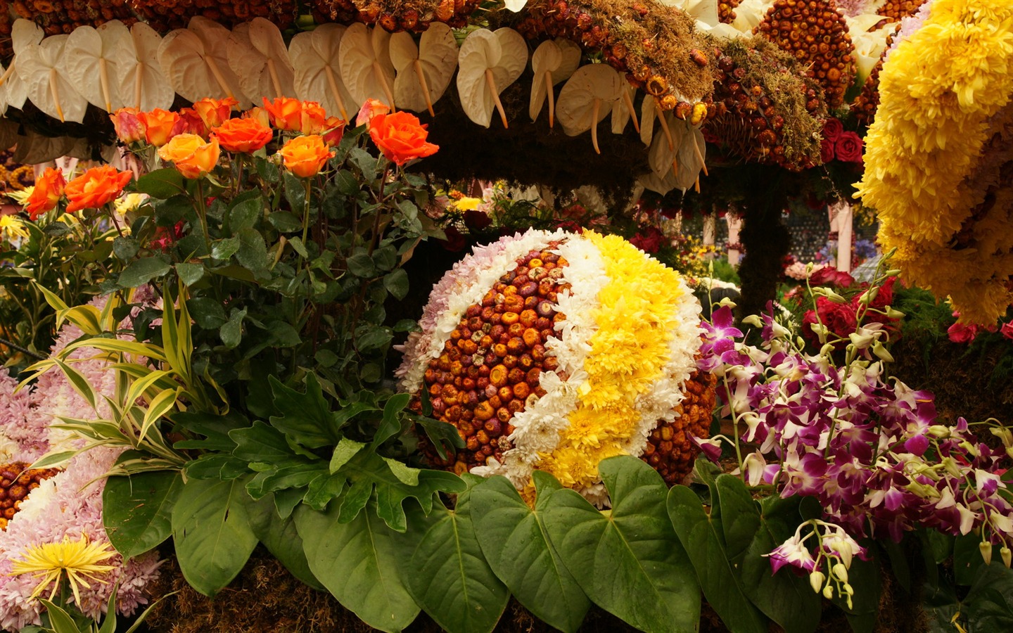 fleurs colorées décorent fond d'écran (2) #12 - 1440x900