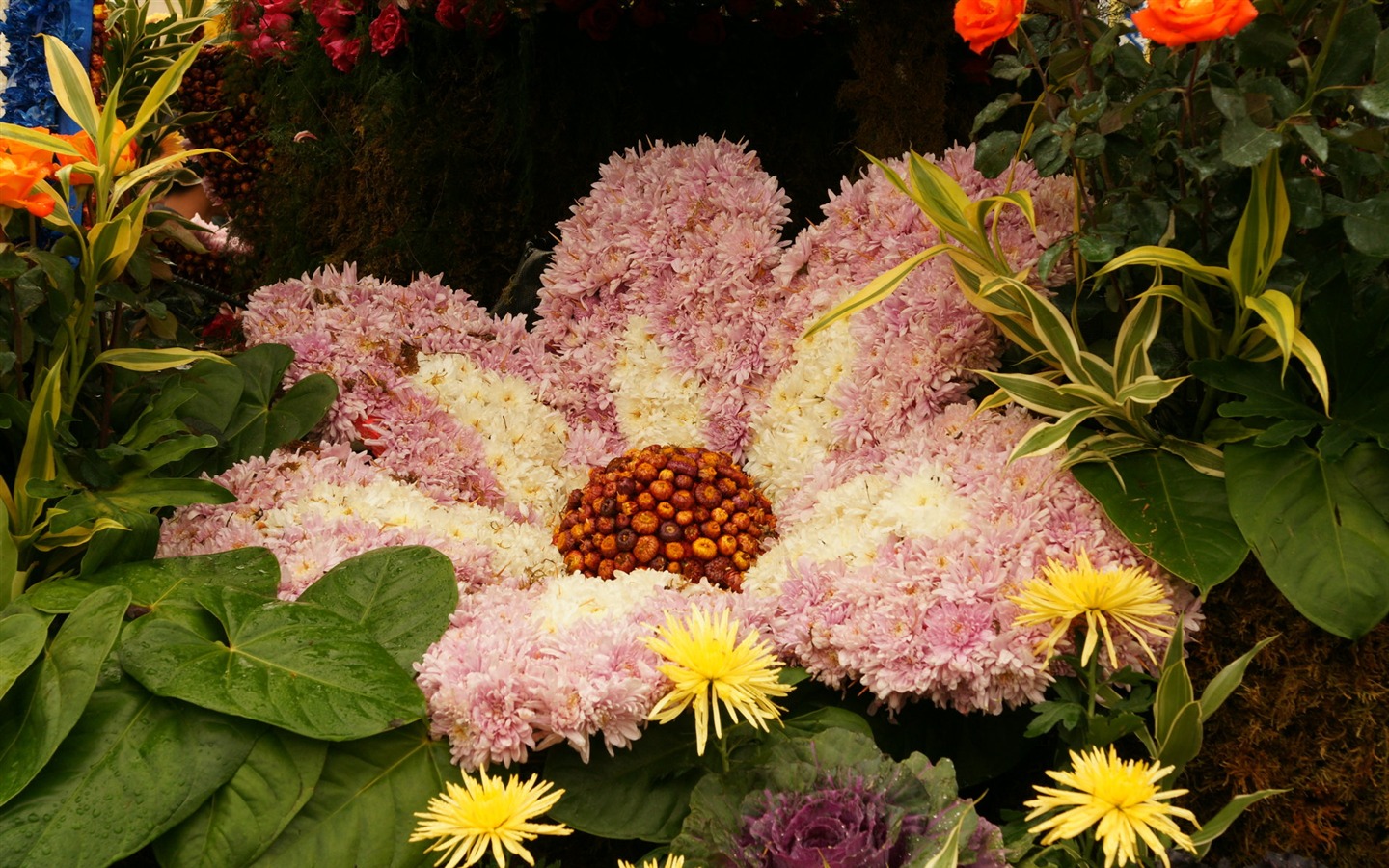 fleurs colorées décorent fond d'écran (2) #14 - 1440x900